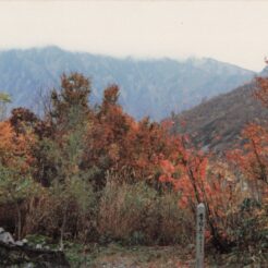 1982-11-01 新潟県魚沼市 奥只見 紅葉の映える山々と、世界平和の言葉を盾に自称団体ではないと主張する動物が残したゴミ<br>1982年11月のおじいちゃんとおばあちゃんの新潟旅行