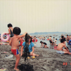 1988-08-07 三浦海岸で海水浴<br>三浦海岸で海水浴。海藻が気になったらしい