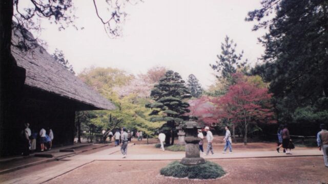 寺