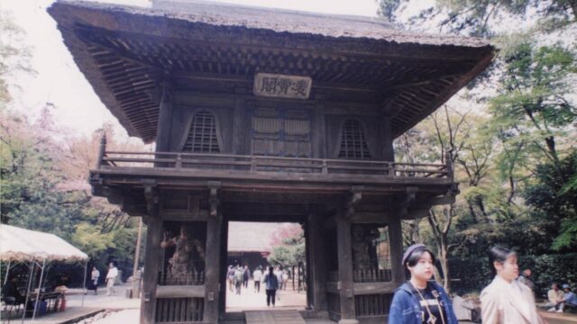 寺