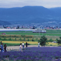 1993-07-20 富良野のラベンダー畑と気動車<br>北海道富良野のラベンダーのある田園風景と列車