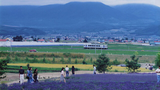 rural landscape