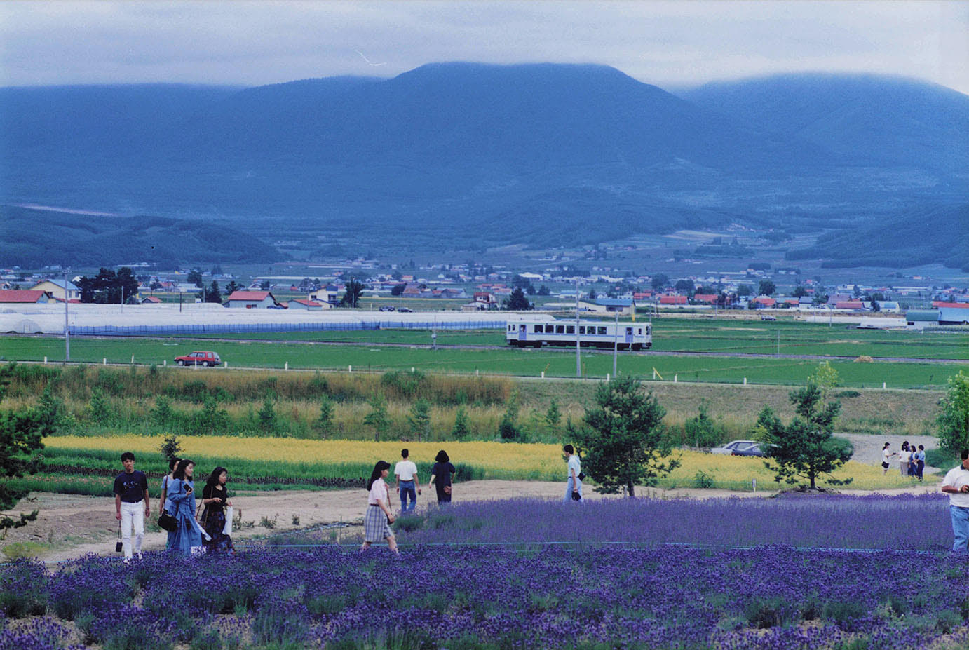 田園風景