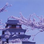 城