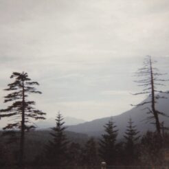 1994-08-07 北海道上川郡の景色<br>北見・リゾート列車原生花園駅 釧路湿原