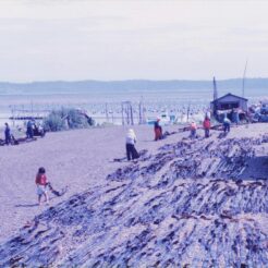 1994-08-06 厚岸付近 昆布干しと子供<br>北見・リゾート列車原生花園駅 釧路湿原