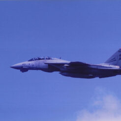 1995-05-19 厚木基地 F-14A<br>厚木基地 F-14A