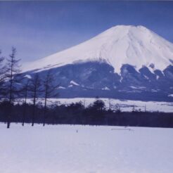 1998-03-09 山中湖村 花の都公園付近 富士山と雪景色<br>忍野村 デ 富士山 （おじいちゃんの息子）の車で忍野