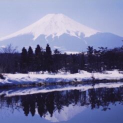 1998-03-09 山梨県南都留郡 忍野村 水面に映る富士山<br>忍野村 デ 富士山 （おじいちゃんの息子）の車で忍野