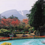 風景
