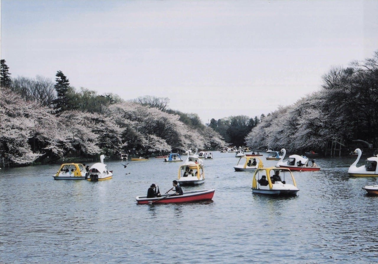 スワンボート