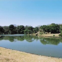 2004-03-27 東京都文京区本駒込 六義園 日本庭園の池<br>新宿御苑のしだれ桜満開はすぎていた。をそい。しだれ桜が5本くらいある