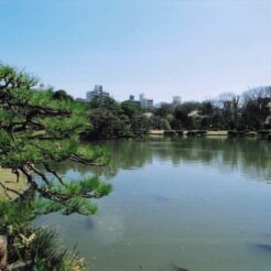 2004-03-27 東京都文京区本駒込 六義園 日本庭園の池<br>新宿御苑のしだれ桜満開はすぎていた。をそい。しだれ桜が5本くらいある