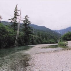 2004-08-04 上高地 大正池付近<br>河童橋 白樺荘にとまる 3日の夕方 田代池。乗鞍スカイライン デ 花と山