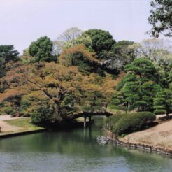 2005-03-27 六義園の池と橋<br>六義園のかへりに新宿御苑デ 早咲きのシダレ桜と白レンの花