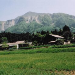 2005-05-03 埼玉県秩父市 田畑と武甲山 横瀬駅からの道<br>秩父羊山公園芝桜の丘 新緑風景 芝桜満開