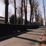 2005年5月 おばあちゃんの家の裏の柳新田通りの写真を追加