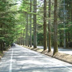 2005-05-17 12-47-21 三笠ホテルに至る軽井沢の道路<br>軽井沢の道路をサイクリングした