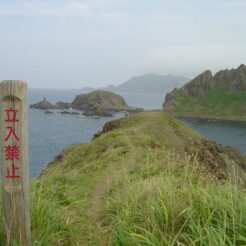 2006-08-15 09-14-11 礼文島・澄海岬<br>スカイ岬