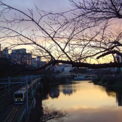 2007-02-02 16-54-05飯田橋の外堀の風景<br>学校帰りの風景