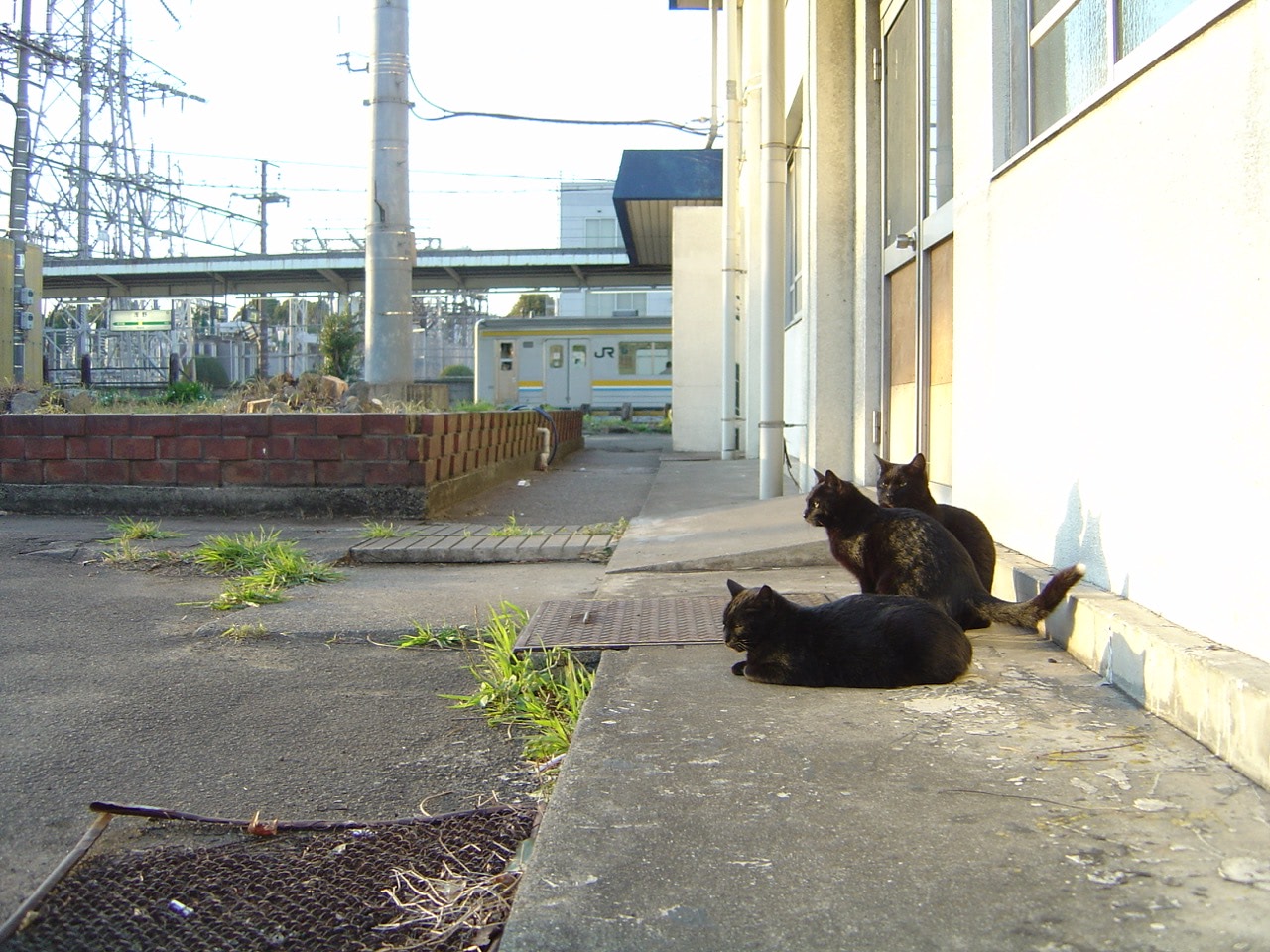 2007 03 14 17 13 57浅野駅の猫(駅員）