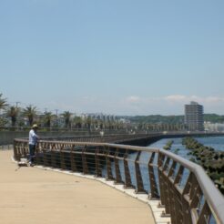 2007-05-20 11-16-33馬堀海岸<br>馬堀海岸周辺や横須賀美術館