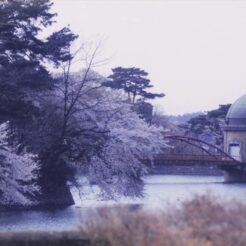 2007-05-03 狭山湖（山口貯水池） 取水塔と桜<br>桜と狭山湖