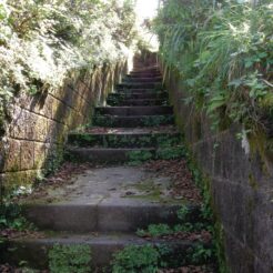 2007-09-23 13-40-00函館山の裏<br>東北新幹線と東北本線で函館へ