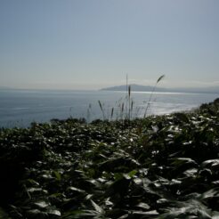 2007-09-23 14-32-54函館山からの景色<br>東北新幹線と東北本線で函館へ