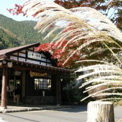 2007-11-24 11-33-36鳩ノ巣駅<br>日原鍾乳洞へ行った