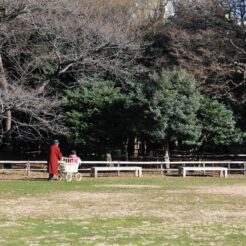 2007-12-24 13-33-13旧岩崎邸庭園の庭で歩く人<br>旧岩崎邸庭園やお茶の水周辺を巡った