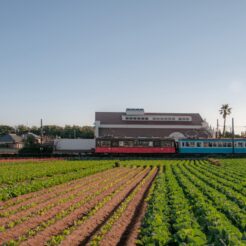 2008-01-01 08-29-45銚子電鉄犬吠駅<br>初日の出を見に車で送ってもらい銚子・犬吠埼へ