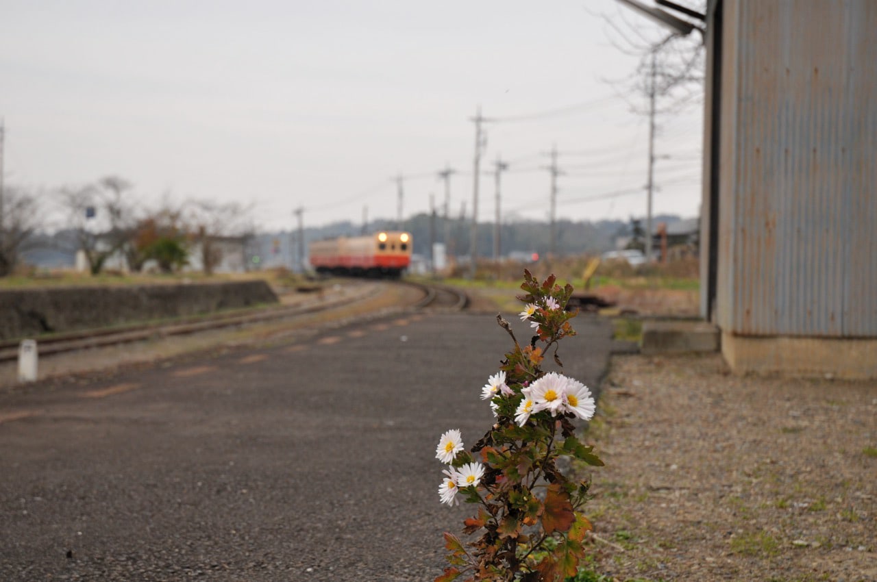 2007 12 22 14 26 16上総鶴舞駅のホームと花