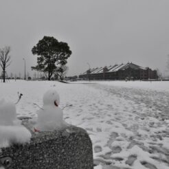 2008-02-03 15-11-57雪だるまと横浜赤レンガ倉庫<br>雪の中を歩いた