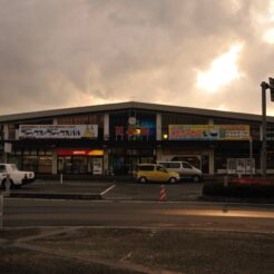 2008-04-27 16-50-12花巻駅<br>花巻と小岩井の一本桜の旅