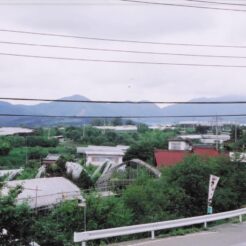 2008-06-21 山梨県（甲州市付近）さくらんぼ狩り<br>桜ボ狩り ハーブ園（さくらんぼ狩り）