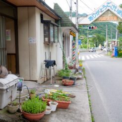 2008-06-21-15-38-01 川原湯温泉の入り口の家と猫<br>ダムに沈むために移転が予定されている川原湯温泉へのドライブ