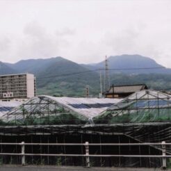 2008-06-21 山梨県笛吹市 さくら温泉通り2<br>桜ボ狩り ハーブ園（さくらんぼ狩り）