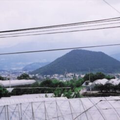 2008-06-21 甲州市・旧塩山市 塩ノ山<br>桜ボ狩り ハーブ園（さくらんぼ狩り）