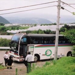 2008-06-21 山梨県（甲州市付近）さくらんぼ狩り 談笑する人々<br>桜ボ狩り ハーブ園（さくらんぼ狩り）