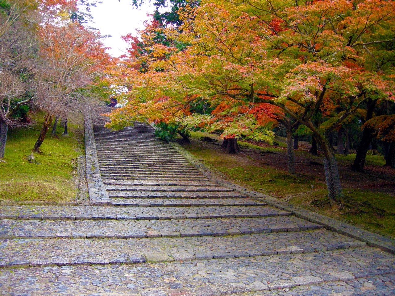 2008 11 24 10 45 55東大寺