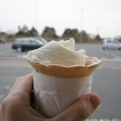 2009-02-22-16-53-01富士ミルクランドのソフトクリーム<br>朝いきなり家に来てご飯食べに行こうかと車で連行されて富士宮でさわやかのハンバーグを食べてソフトクリームを食べて帰った