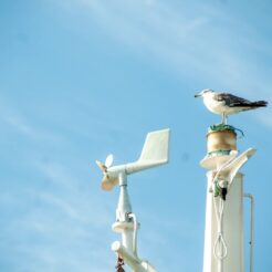 2009-09-13-15-36-37東京湾フェリーのカモメ<br>外房線で鴨川を経由し内房線と東京湾フェリーを回った