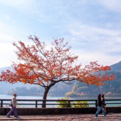 2009-11-08-11-04-16小河内ダム・奥多摩湖の秋<br>奥多摩湖