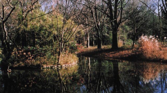 公園