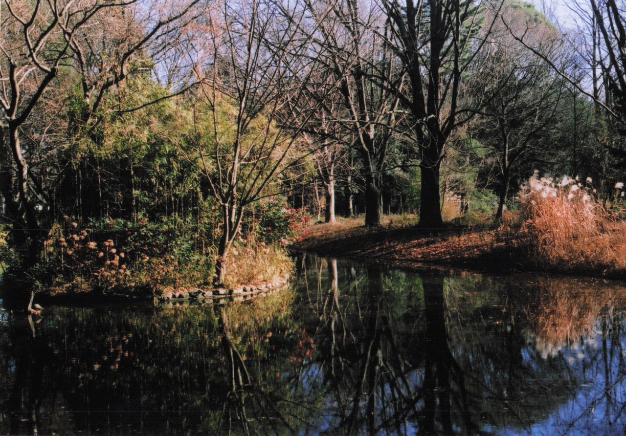 公園