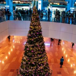 2011-11-26-17-36-09羽田空港国際線ターミナルとクリスマスツリー<br>羽田空港にサイクリング