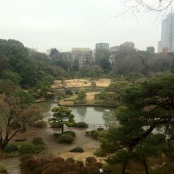 2012-02-25 12-05-25六義園<br>雨の六義園