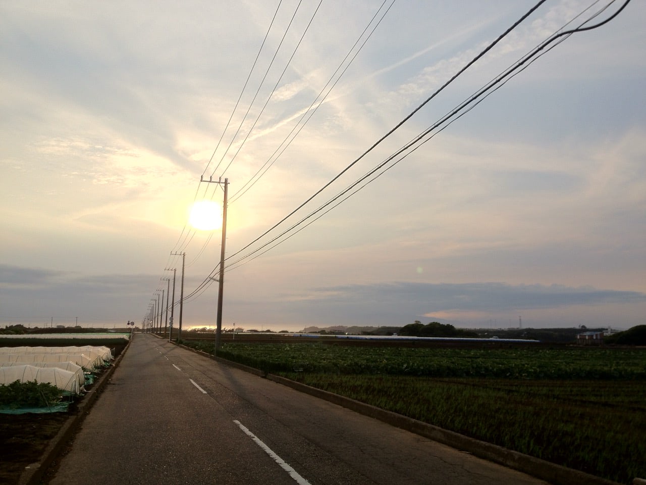 2012 06 17 18 02 26三崎口 夕日と広がる畑