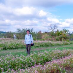 2013-10-06-14-52-05高麗 巾着田のコスモス畑の前に立っているCOTA<br>高麗・巾着田のコスモス